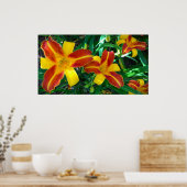 Poster Lily, (Cuisine)