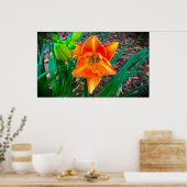 Poster Lily, (Cuisine)