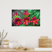 Poster Lily, (Cuisine)