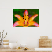 Poster Lily (Cuisine)