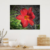Poster Lily, (Cuisine)