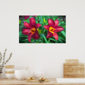 Poster Lily, (Cuisine)