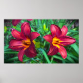Poster Lily, (Devant)