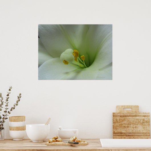 Poster Lily 1 (Cuisine)