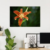 Poster Lily 6588 Imprimer (Bureau à domicile)