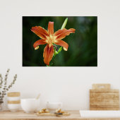 Poster Lily 6588 Imprimer (Cuisine)