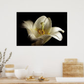Poster Lily blanche 2 (Cuisine)