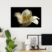 Poster Lily blanche 2 (Bureau à domicile)