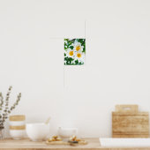 Poster Lily blanche - Lilium candidum (Cuisine)