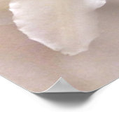 Poster Lily Blossoms Blush (Coin)