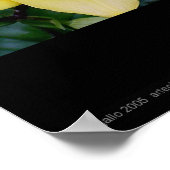 Poster Lily d'Anthony par Gregory Gallo (Coin)