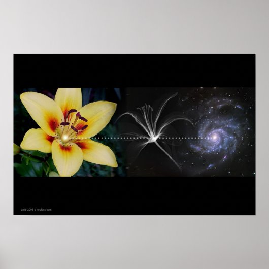 Poster Lily d'Anthony par Gregory Gallo (Devant)