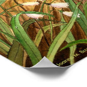 Poster Lily de la Vallée (Coin)