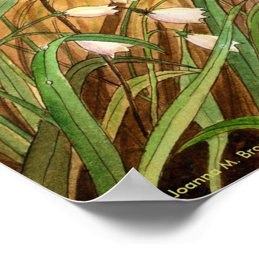 Poster Lily de la Vallée (Coin)