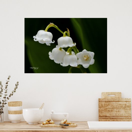 Poster Lily de la Vallée (Cuisine)