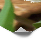 Poster Lily de la Vallée (Coin)