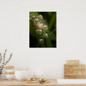 Poster Lily De La Vallée Florale (Cuisine)