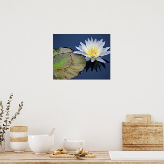Poster Lily d'eau serene (Cuisine)