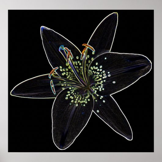 Poster Lily en velours noir (Devant)