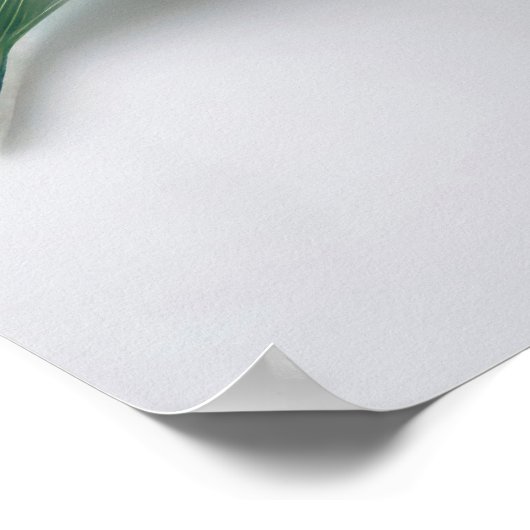 Poster Lily Flowers (Coin)