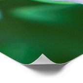 Poster Lily Gros plan (Coin)