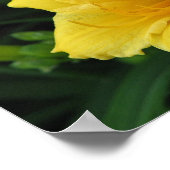 Poster Lily jaune (Coin)