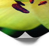 Poster Lily jaune Fleur vers le haut (Coin)