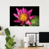 Poster Lily - Nymphaea Ruby - Passion (Bureau à domicile)
