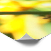 Poster Lily orange (Coin)