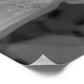 Poster Lily orange (Coin)