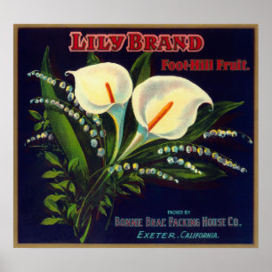 Poster Lily Orange LabelExeter, CA
