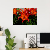 Poster Lily orange rose foncé (Bureau à domicile)