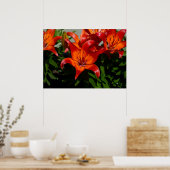 Poster Lily orange rose foncé (Cuisine)
