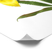 Poster Lily Orientale Jaune Imprimer (Coin)