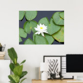 Poster Lily Pad (Bureau à domicile)
