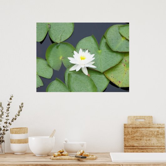 Poster Lily Pad (Cuisine)