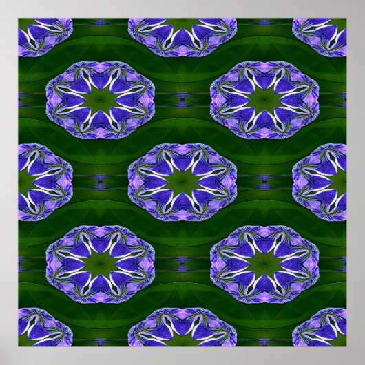 Poster Lily pad étoiles.... (Devant)