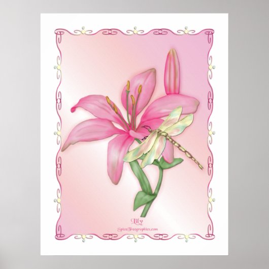 Poster Lily rose (Devant)