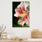 Poster Lily Rose ! (Cuisine)