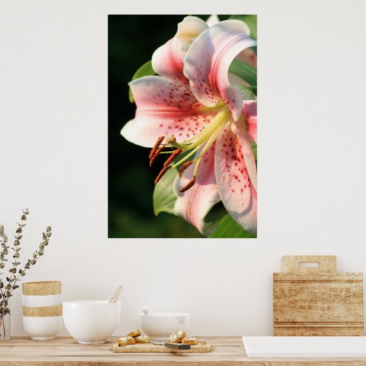 Poster Lily Rose ! (Cuisine)