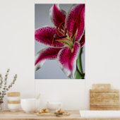 Poster Lilyessence (Cuisine)