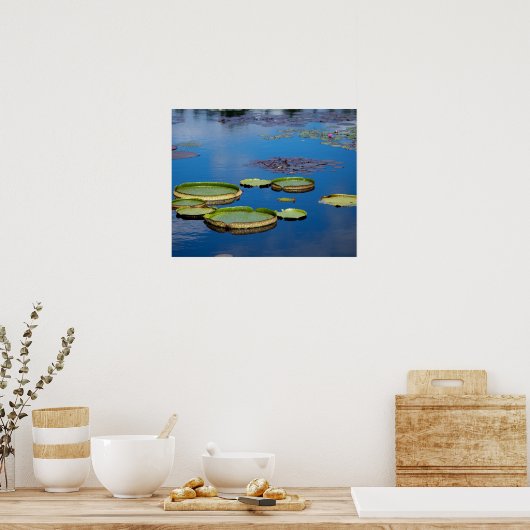Poster Lilypad (Cuisine)