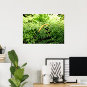 Poster Limace banane sur fougères I (Bureau à domicile)