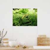 Poster Limace banane sur fougères I (Cuisine)