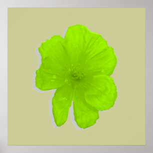 Poster Lime électrique / Fleur PopArt