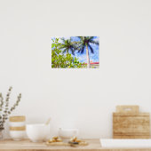 Poster Limequats en Floride (Cuisine)