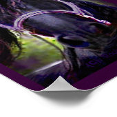 Poster L'impression Black Stallion (Coin)