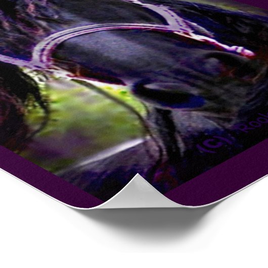 Poster L'impression Black Stallion (Coin)