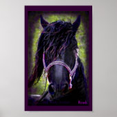 Poster L'impression Black Stallion (Devant)
