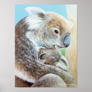 Poster L'impression d'art fin portrait câlin de koala
